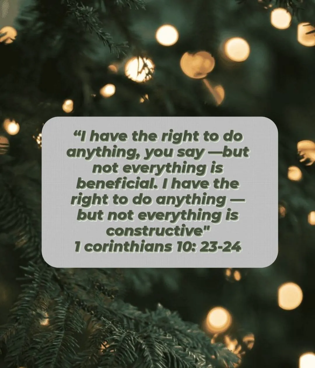 1 Corinthians 10:23–24, not everything is beneficial, over evergreen branches and lights