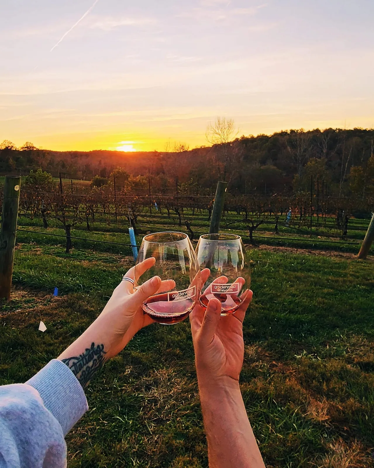 Two glasses raised at sunset over a mountain vineyard
