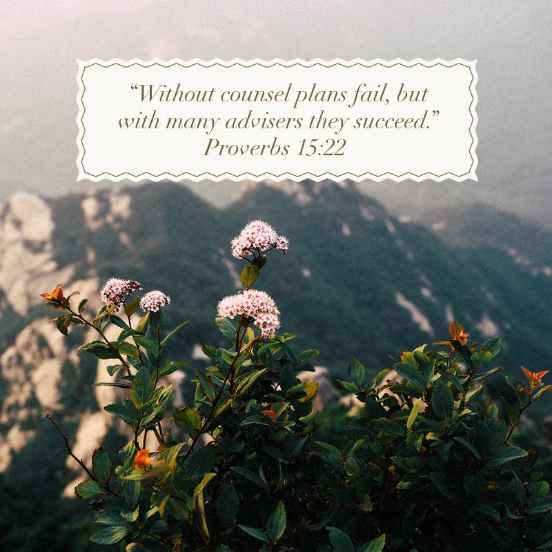 Proverbs 15:22 on many advisers, above wildflowers on a mountainside